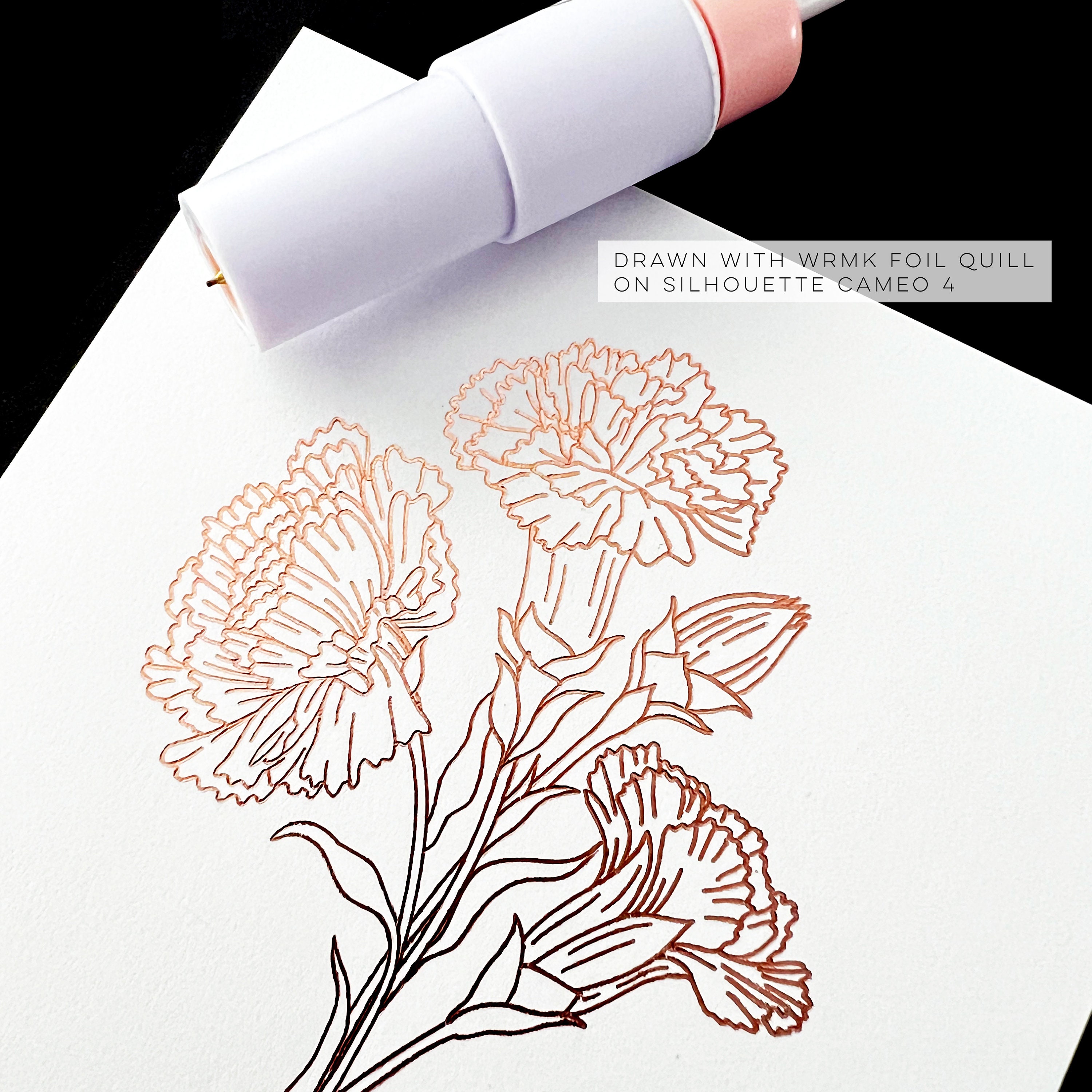 Carnation Flower Single Line SVG File, Botanical Floral Clip Art ...