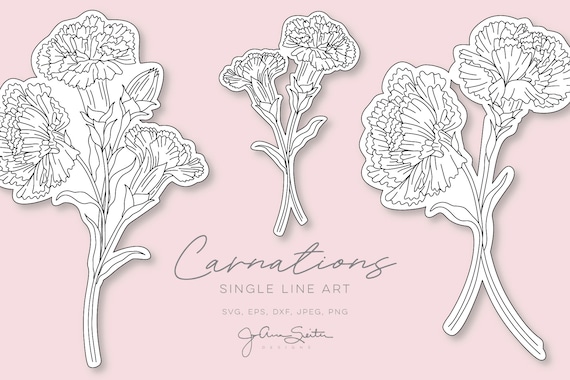 Carnation Flower Single Line SVG File, Botanical Floral Clip Art, Instant  Digital Download — JoAnna Seiter
