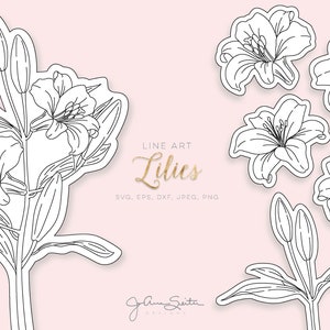 Arquivo SVG de linha única de flor de lírio, clipart floral, download digital instantâneo
