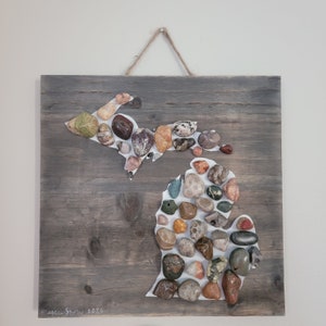 Great Lakes Art - Petoskey Stone, Fossil and Rocks - Michigan Wall Art 10x10in - Stones found in Lake Michigan, Superior, Erie and Huron