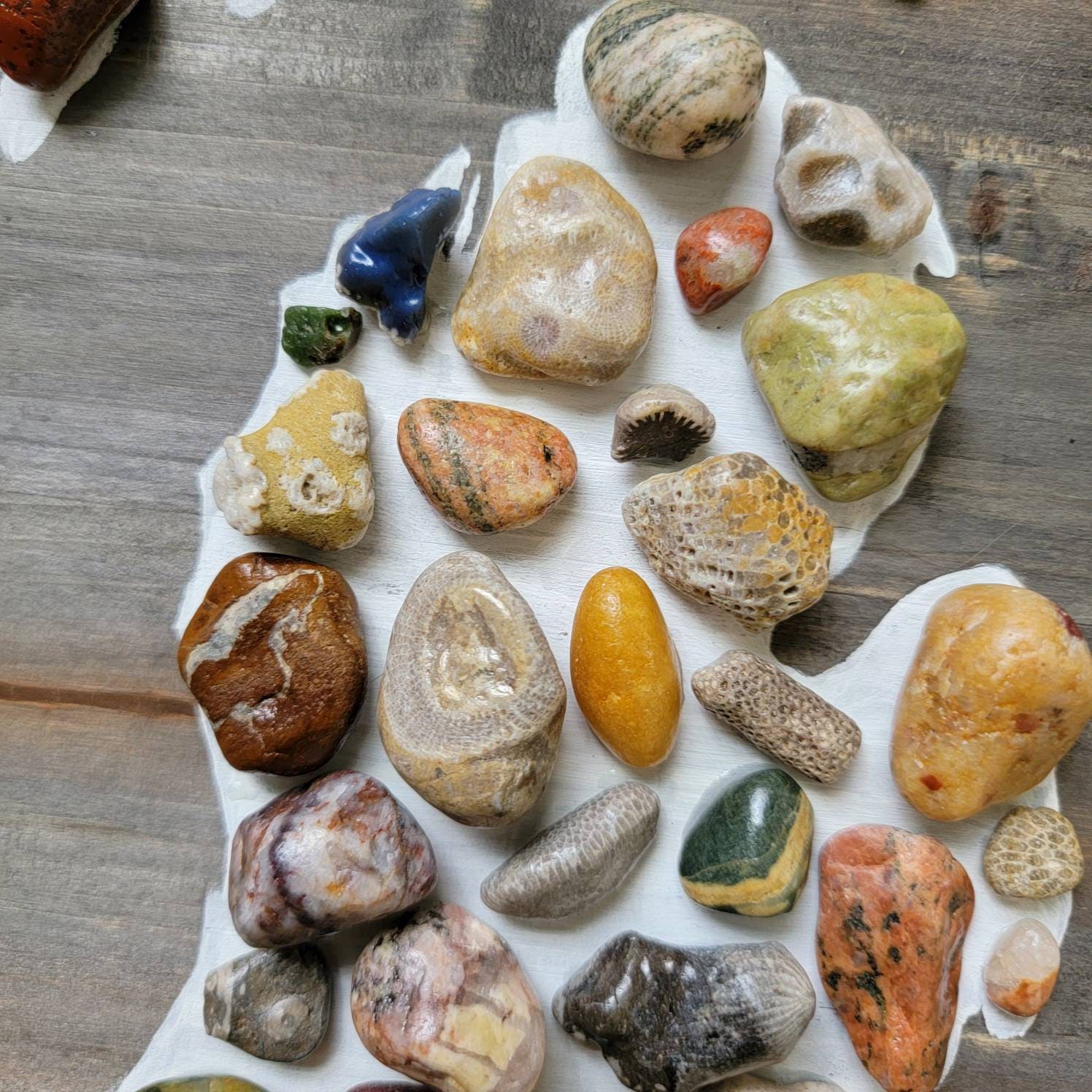 Pataski Rocks Great Lakes Art - Petoskey Stone, Fossil and Rocks - Michigan Wall Art ...