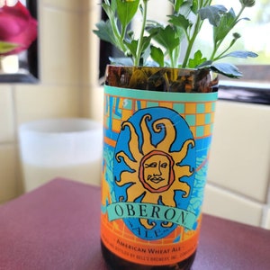 May include: A glass bottle vase with a yellow, orange, and blue label that reads "Oberon Ale American Wheat Ale" and a sun graphic. The vase is filled with yellow flowers.