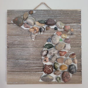 Great Lakes Art - Petoskey Stone, Fossil and Rocks - Michigan Wall Art 10x10in - Stones found in Lake Michigan, Superior, Erie and Huron