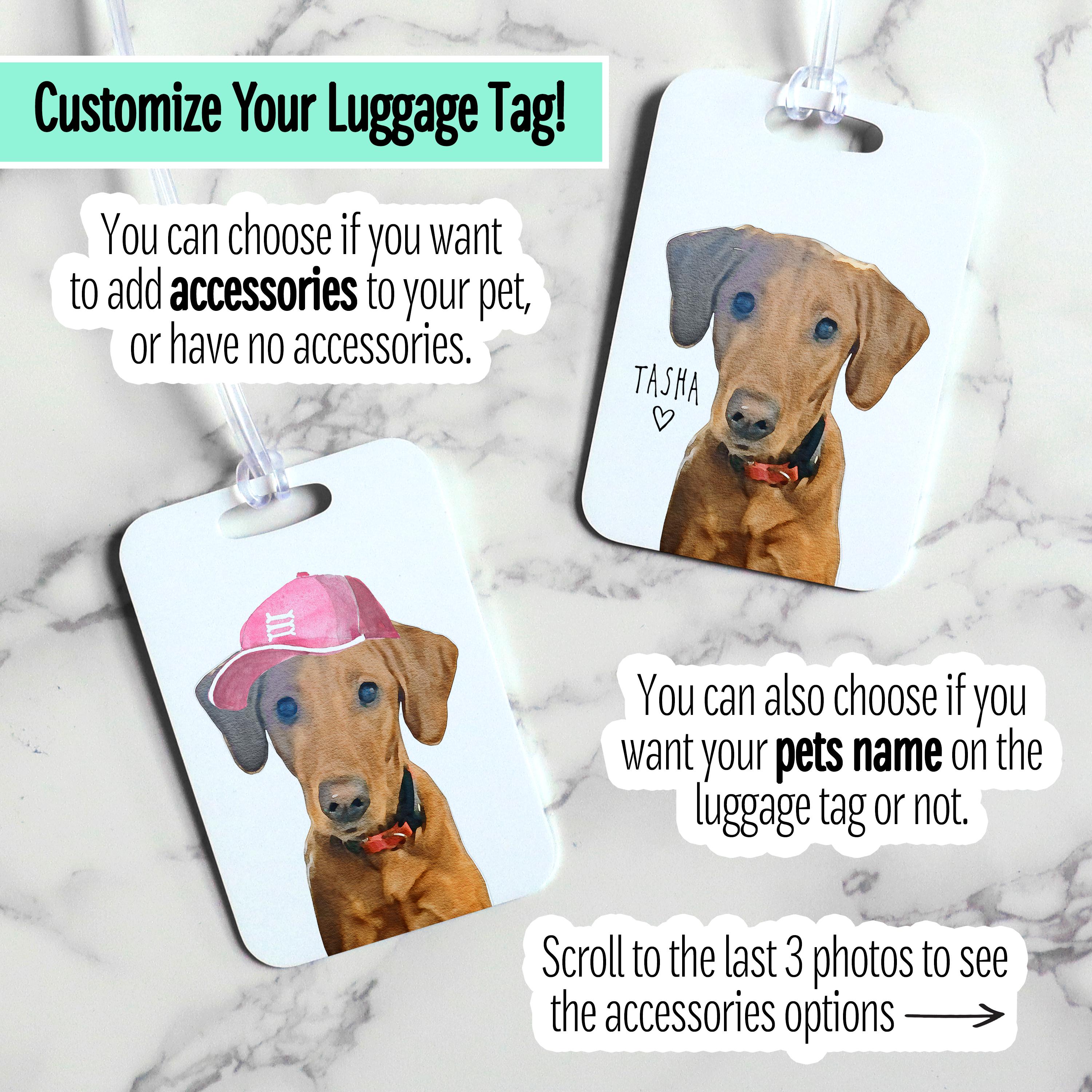 Premium Photo | Two dogs in a suitcase on a gray background