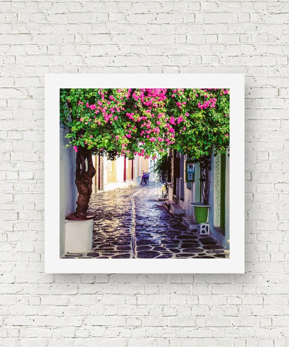 Paros Grèce Print Rose Fleur Imprimer Grec Murales Décor Méditerranéen Grèce Photographie Murale Estampes Voyage Carré Imprime Europe