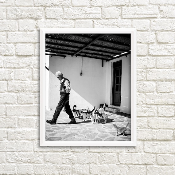 Digital download photography, black white print, Greece printable wall art, printable photography, black and white cat print, Greece art