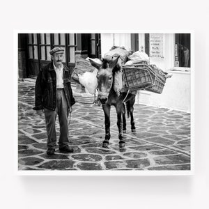 Paros Greece art prints, Greek donkey print, black white prints, black and white photography travel prints, donkey wall art photography