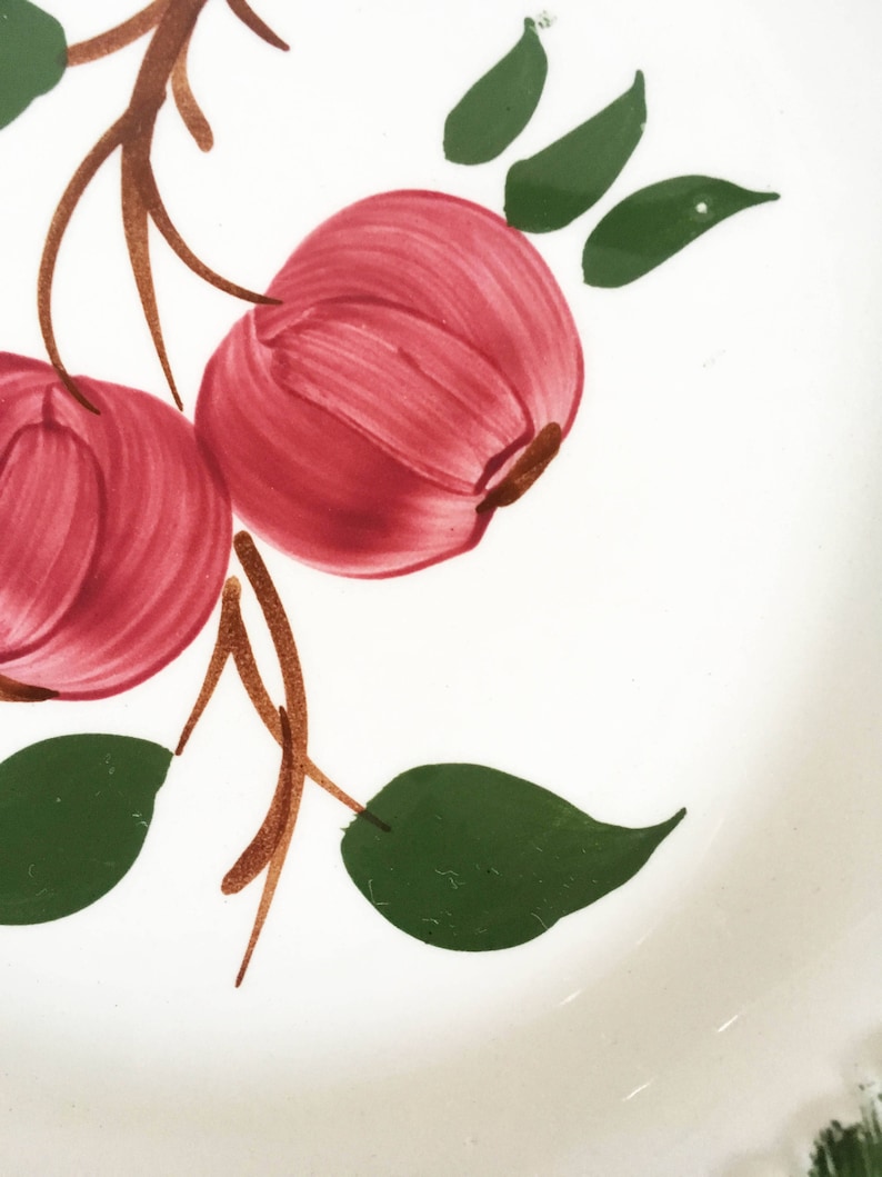 Blue Ridge Bay Apples Dinner Plate