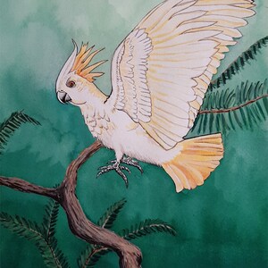 White bird original watercolor