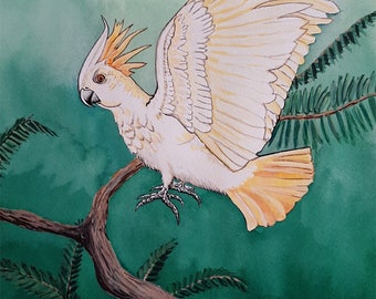 White bird original watercolor