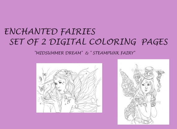 set of two fairies digital coloring pagesinstant downloadunicorn fairy  steampunk fairyadult coloringcraft supppliesfantasydigi stamp