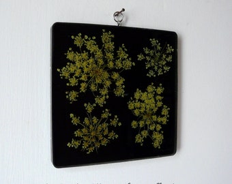 Pressed flowers in eco friendly resin, floral home decor, boho botanical wall decor, queen Annes's lace, FREE shipping