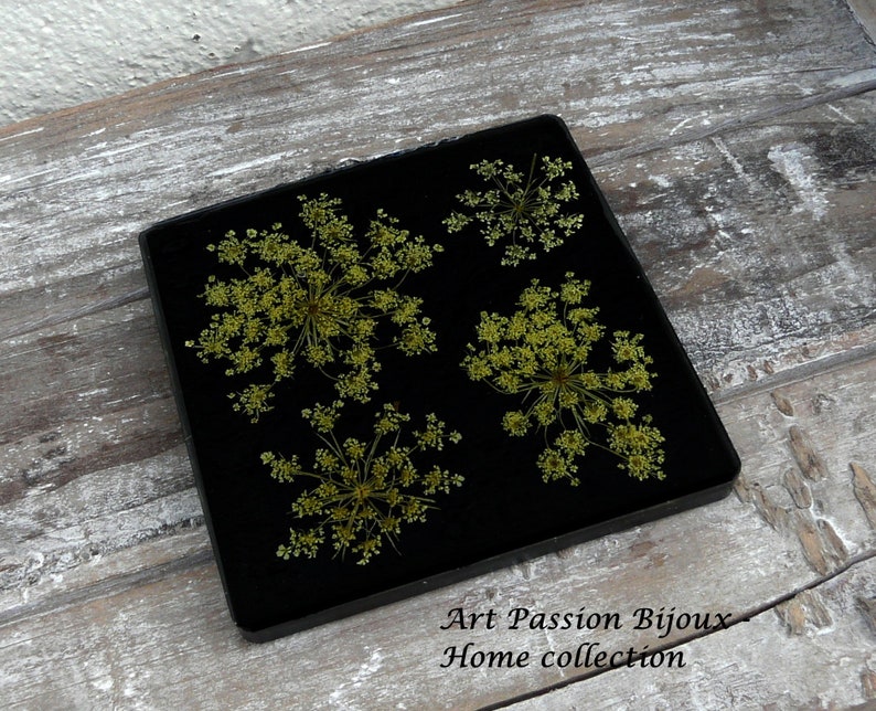Pressed flowers in eco friendly resin, floral home decor, boho botanical wall decor, queen Annes's lace, FREE shipping image 4