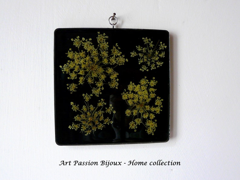 Pressed flowers in eco friendly resin, floral home decor, boho botanical wall decor, queen Annes's lace, FREE shipping image 5