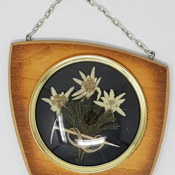 Original 1950s Wall Hanger - Vintage Souvenir From Bavaria - German Vintage - Real Edelweiss