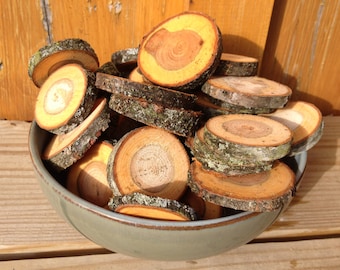 Forest cut wood slices from black cherry tree-small 12 pieces