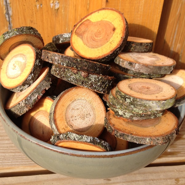 Forest cut wood slices from black cherry tree-small 12 pieces