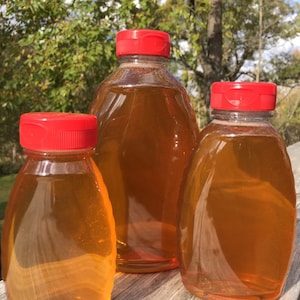 Fall Honey 2 pounds (32 ounces) 100% Raw, Natural