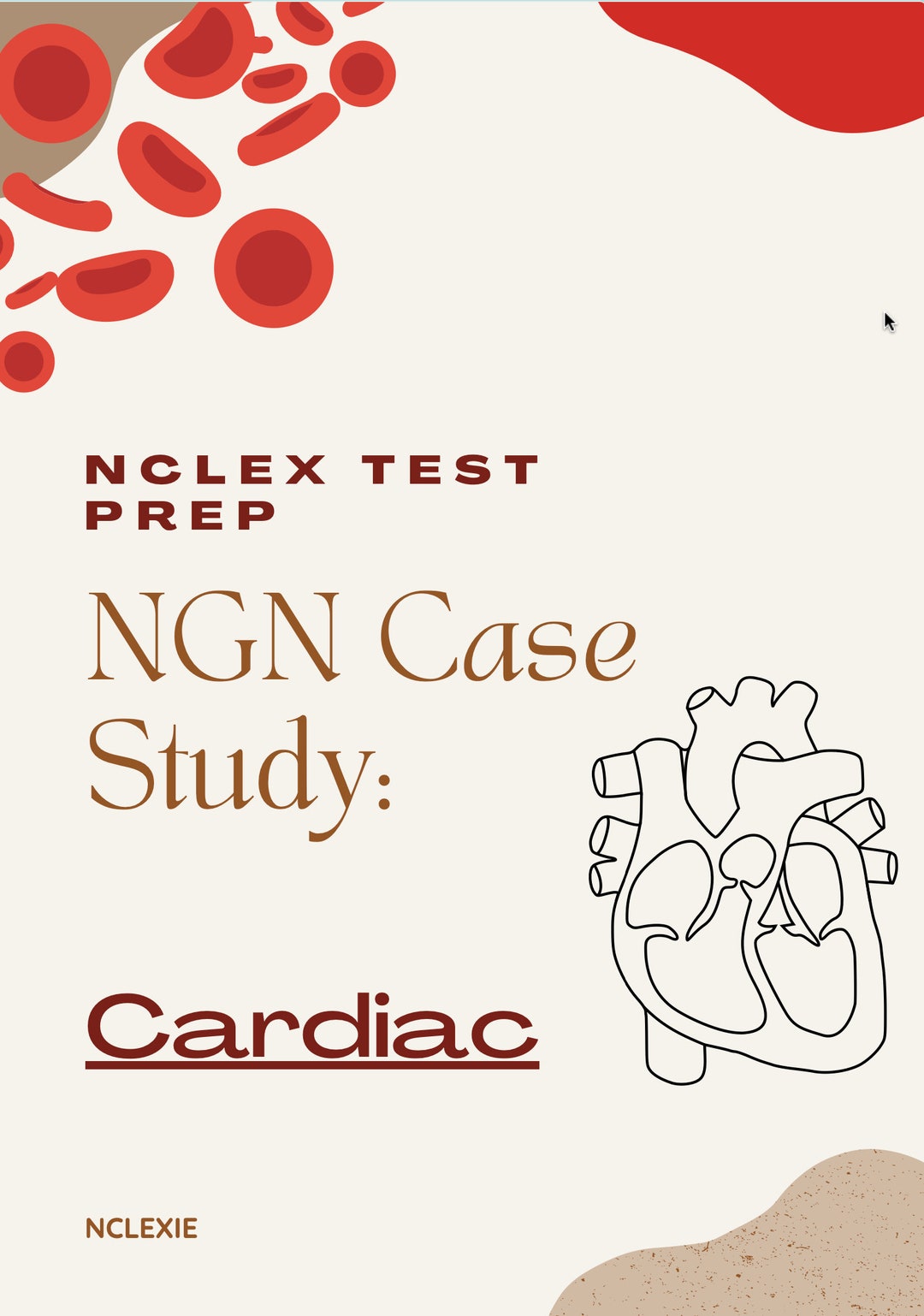 NGN Case Study Cardiac PDF Etsy