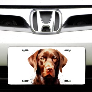 License Tag and/or Trailer Hitch Cover, Chocolate Labrador