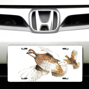 License Tag and/or Trailer Hitch Cover, Bobwhite Quail