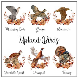 以下が含まれることがあります： 喪服の鳩、ライチョウ、ヤマシギ、ボブホワイトウズラ、キジ、七面鳥など、6種類の高地鳥のイラスト。それぞれの鳥は、リアルなスタイルで、詳細な羽根と模様が描かれています。鳥たちは秋の紅葉とベリーに囲まれており、お祭り気分と季節感を醸し出しています。