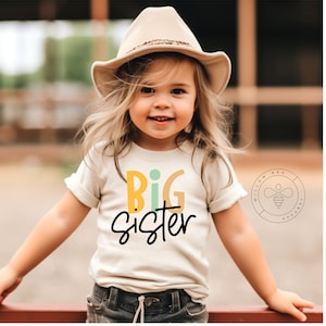 Matching Sibling Shirts, Big Sister, Little Brother, Big Brother, Little Sister Tee, Retro Kids, Toddler, Baby, Girls, Boys, Announcement