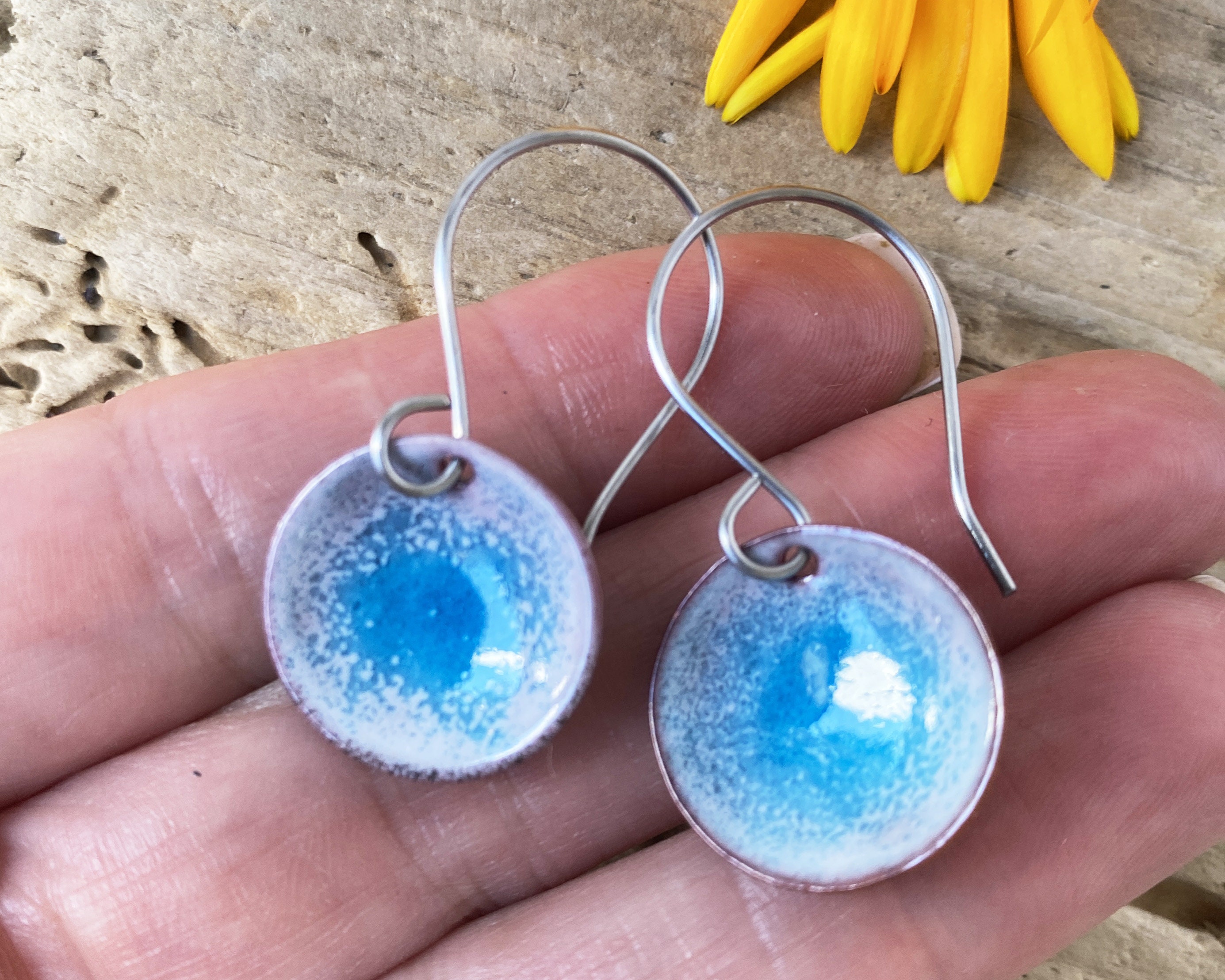 Blue Enamel Disc Earrings