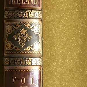 May include: A brown leather-bound book with gold lettering and decorative patterns. The title reads "HISTORY OF IRELAND" and the volume number is "VOL. III."