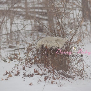 Digital Snow  backdrop
