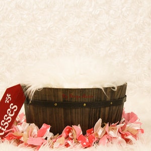 photo backdrop digital download newborn valentine bucket background