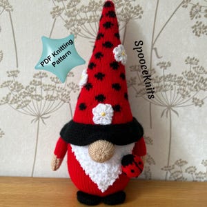 Breipatroon lieveheersbeestje kabouter - pdf - 34 cm hoog