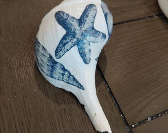 Muschel in maritimen Farben. Größe 6x4.