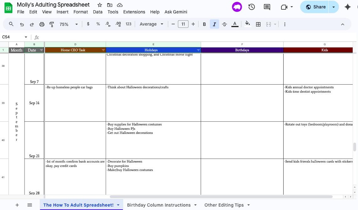 Molly's Adulting Spreadsheet - Etsy