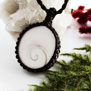 May include: A white and brown shell pendant necklace with a spiral pattern. The shell is set in a brown cord and the cord is tied in a knot at the top.