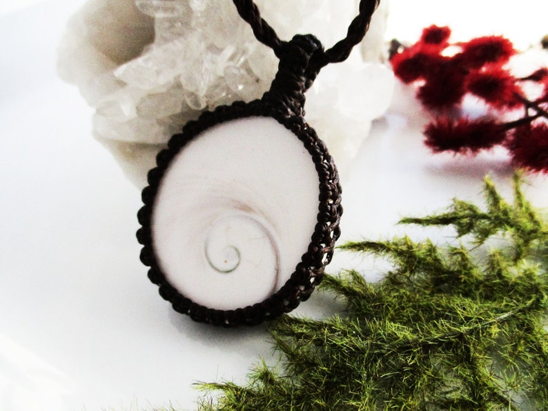 May include: A white and brown shell pendant necklace with a spiral pattern. The shell is set in a brown cord and the cord is tied in a knot at the top.