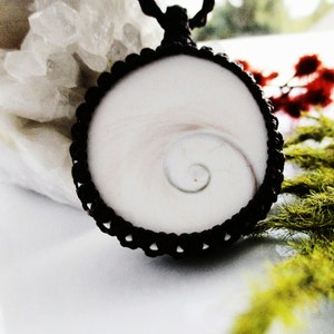 May include: A white shell with a spiral pattern is set in a black cord necklace. The shell is surrounded by a black cord that is knotted together.