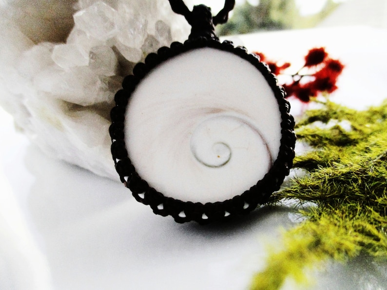 May include: A white shell with a spiral pattern is set in a black cord necklace. The shell is surrounded by a black cord that is knotted together.