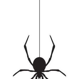 May include: A black spider silhouette hanging from a thin vertical line against a white background. The spider has eight legs and a round body, creating a spooky Halloween decoration.
