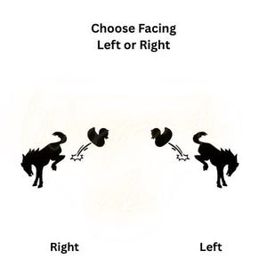 Könnte beinhalten: Schwarze Silhouette-Grafiken eines Pferdes und eines Vogels mit dem Text "Choose Facing Left or Right". Das Pferd und der Vogel sind in Bewegung dargestellt, mit den Wörtern "Right" und "Left" darunter.