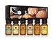 Bakery Set of 6 Premium Grade Fragrance Oils - Pumpkin Pie, Cupcake, Sugar Cookies, Coffee Cake, Snickerdoodle, Gingerbread 