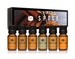 Spice Set of 6 premium Grade Fragrance Oils - Cinnamon, Harvest Spice, Apple Cider, Coffee Cake, Gingerbread, Pumpkin Pie - 10ml 