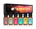 Hawaiian Set of 6 Premium Grade Fragrance Oils - Hibiscus, Island Life, Hawaiian Ginger, Tropical Breeze, Plumeria, Aloe - 10ml 
