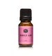 Bubble Gum Premium Grade Fragrance Oil - Scented Oil - 10ml/.33oz 