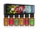 P&J Trading Christmas Set of 6 Fragrance Oils - Christmas Wreath, Mistletoe, Candy Cane, Gingerbread, Cinnamon, and Cranberry 
