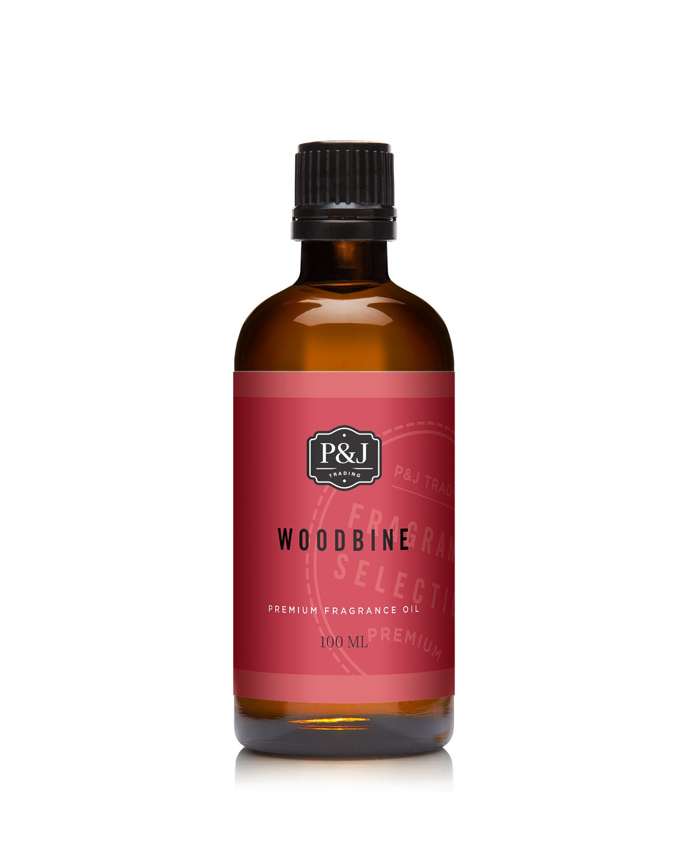 Woodbine Fragrance Oil - Premium Grade Scented Oil - 100ml