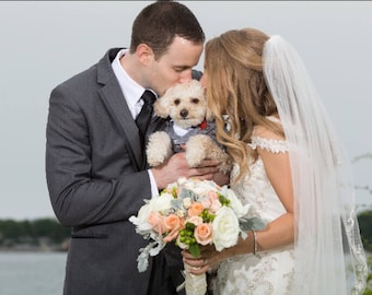 Gray Dog Tuxedo and Satin Shirt /Custom bow tie colors available