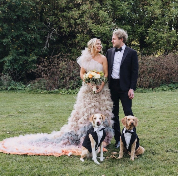 Black, Grey, Navy Blue Wedding Dog Tuxedo (custom Colors Available) - Etsy