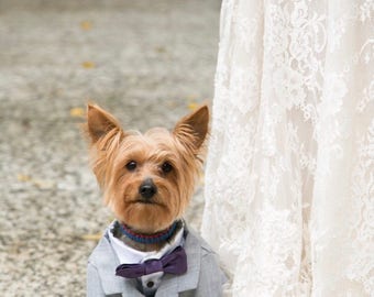 Gray Dog Tuxedo and Satin Shirt /Custom bow tie colors available