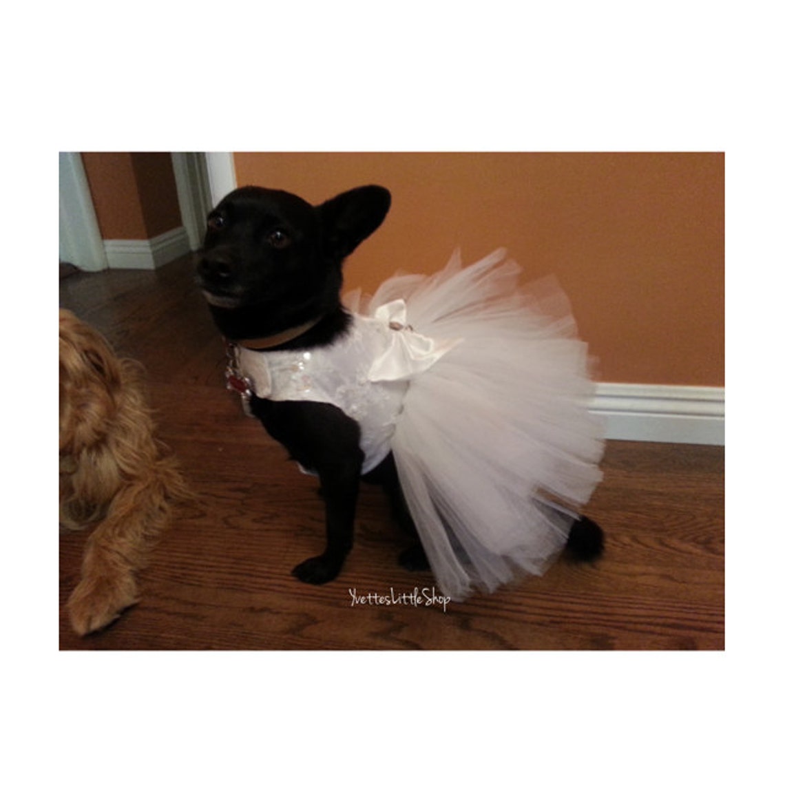Dog Wedding Dress Etsy